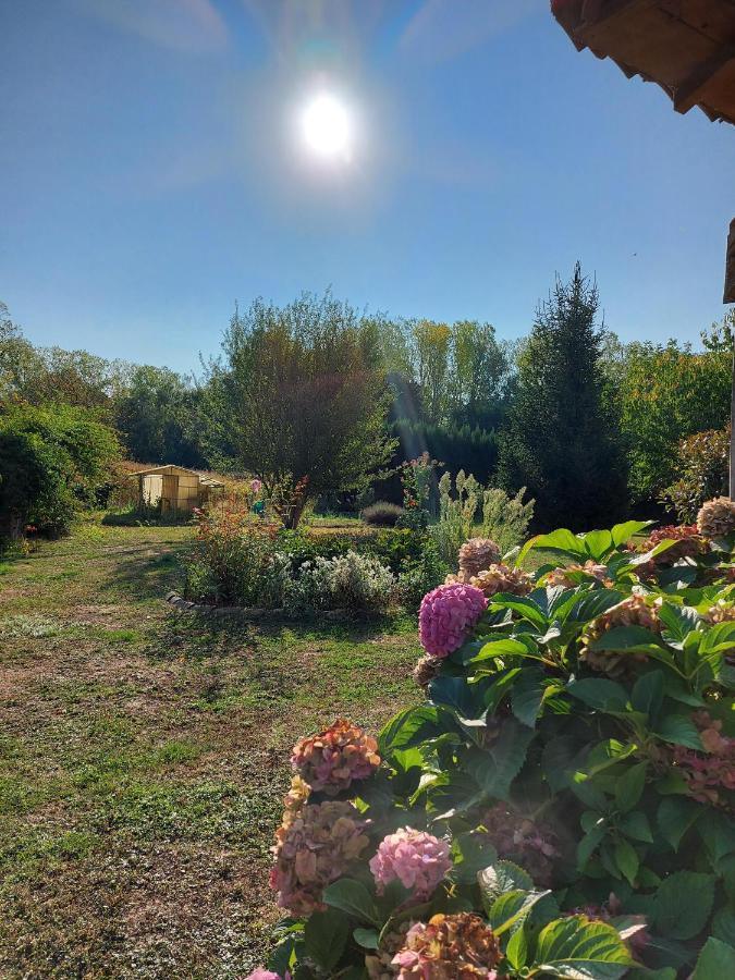 Le Moulin De L'Etang Hotel Chaneins Buitenkant foto