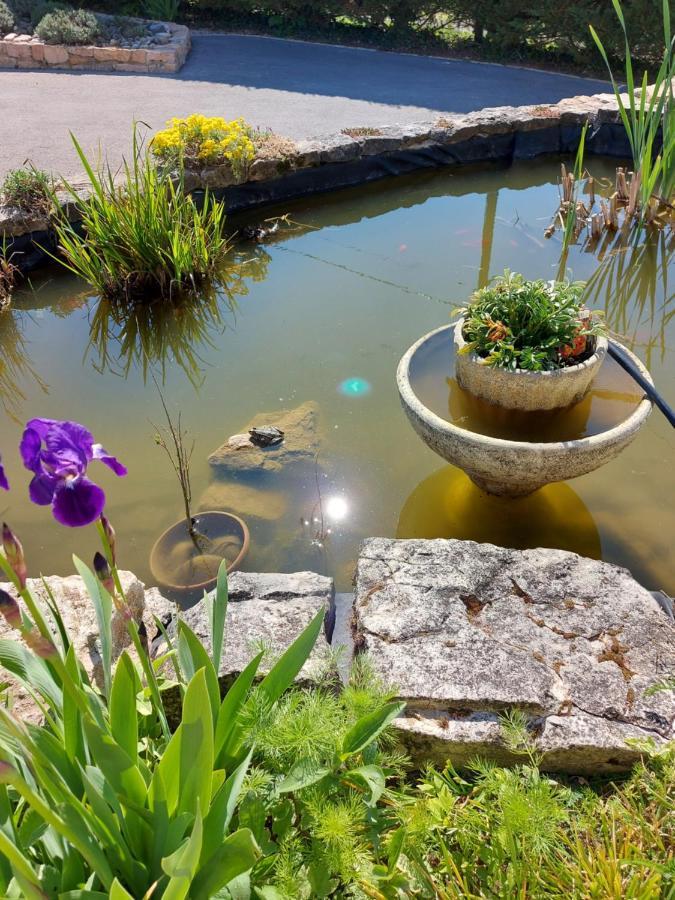 Le Moulin De L'Etang Hotel Chaneins Buitenkant foto