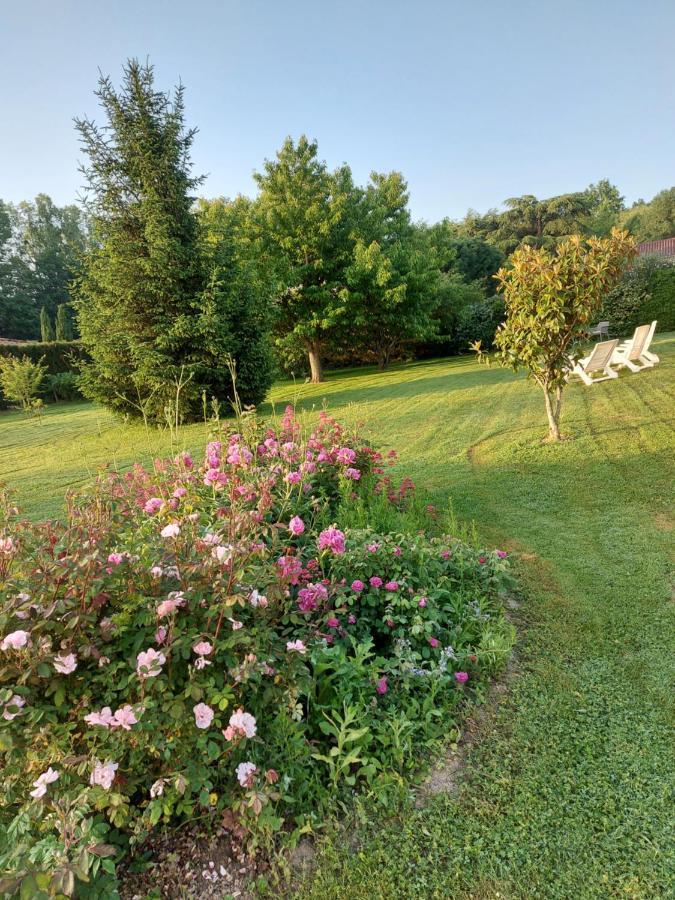 Le Moulin De L'Etang Hotel Chaneins Buitenkant foto