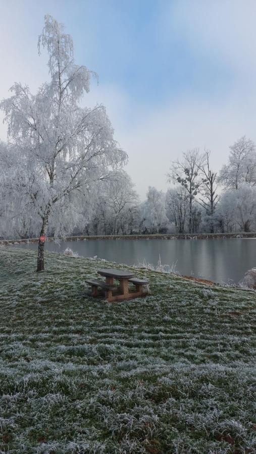 Le Moulin De L'Etang Hotel Chaneins Buitenkant foto